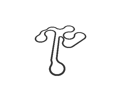 Circuit Del Motorsports International Ring