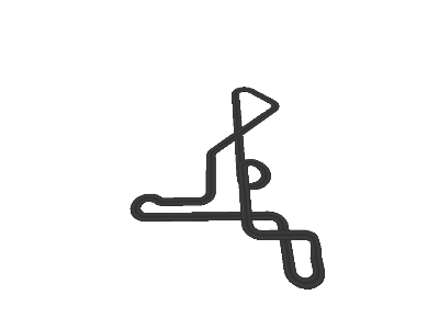 The First Race